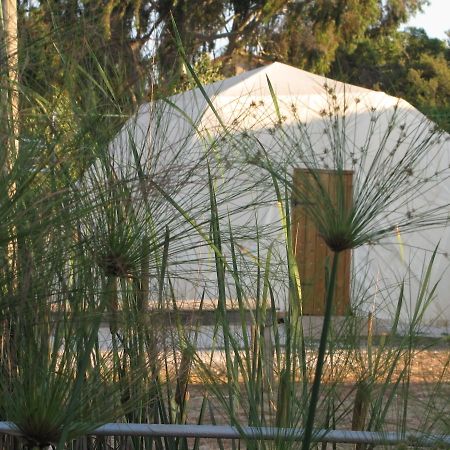 Yarok Az - Ecolodge Farm Ilaniya Oda fotoğraf