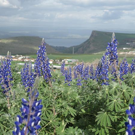 Yarok Az - Ecolodge Farm Ilaniya Dış mekan fotoğraf