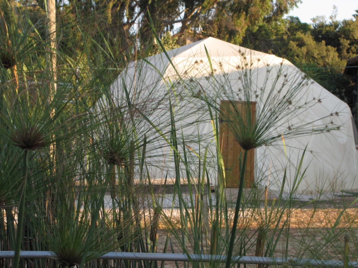 Yarok Az - Ecolodge Farm Ilaniya Oda fotoğraf