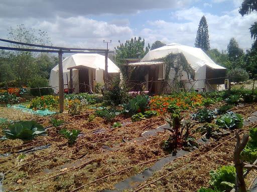 Yarok Az - Ecolodge Farm Ilaniya Dış mekan fotoğraf