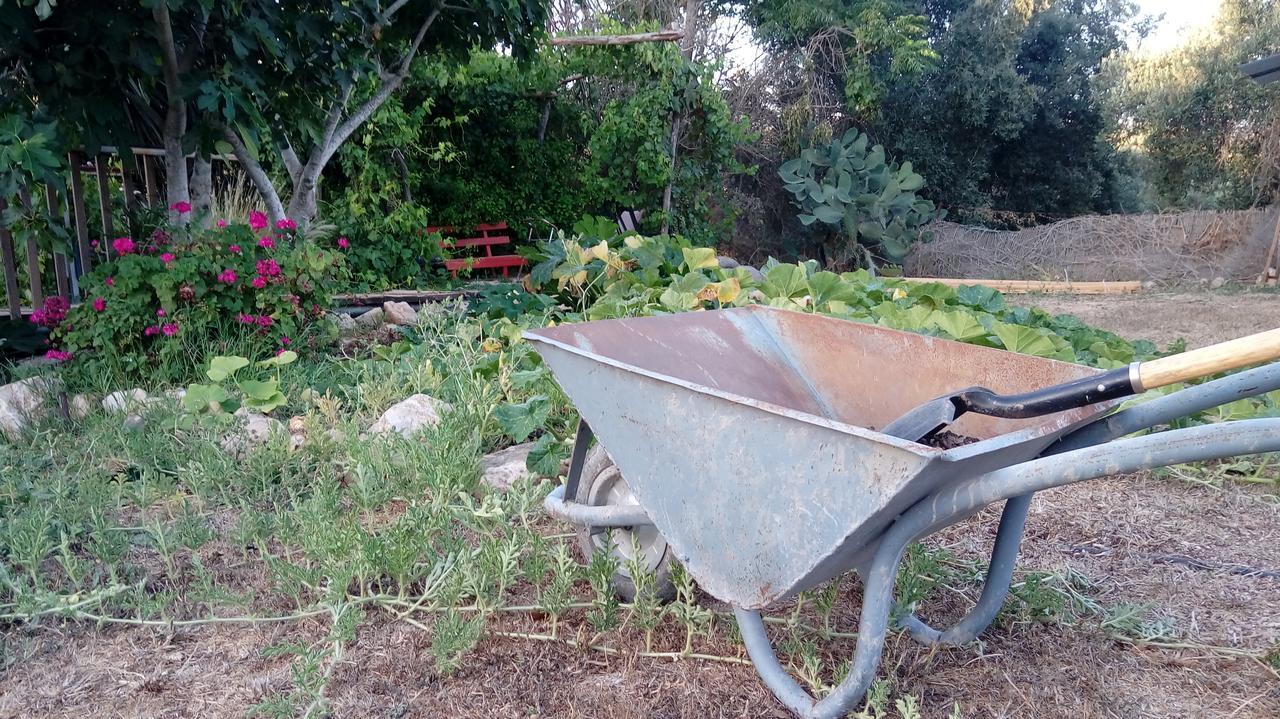Yarok Az - Ecolodge Farm Ilaniya Dış mekan fotoğraf