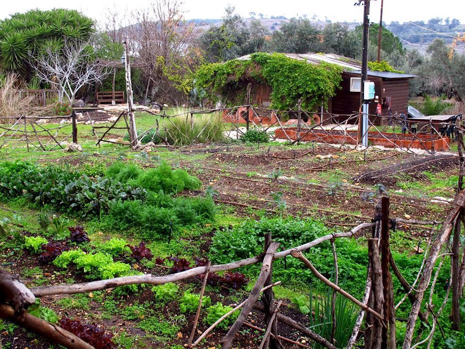 Yarok Az - Ecolodge Farm Ilaniya Dış mekan fotoğraf